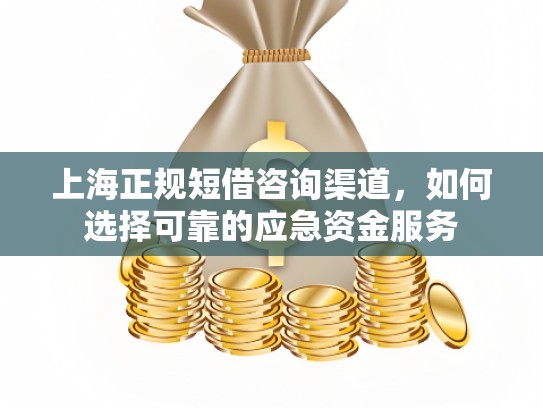 上海正规短借咨询渠道,如何选择可靠的应急资金服务 上海正规短借咨询渠道,如何选择可靠的应急资金服务