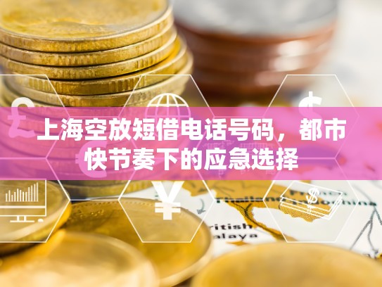 上海空放短借电话号码，都市快节奏下的应急选择
