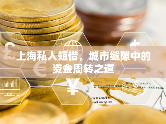 上海私人短借,城市缝隙中的资金周转之道 上海私人短借,城市缝隙中的资金周转之道