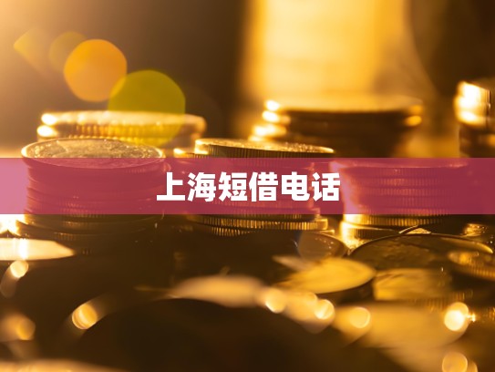 上海短借电话