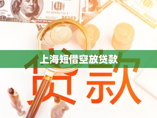 上海短借空放贷款