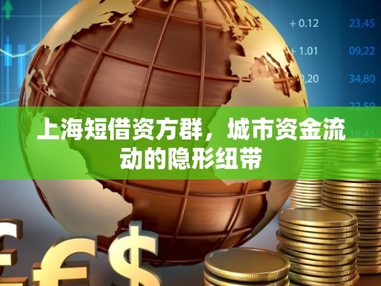 上海短借资方群，城市资金流动的隐形纽带