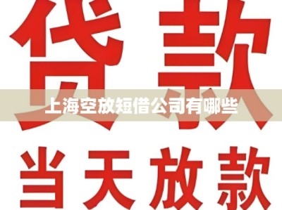 上海空放短借公司有哪些