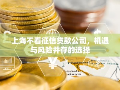 上海不看征信贷款公司，机遇与风险并存的选择
