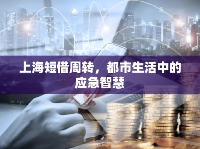 上海短借周转，都市生活中的应急智慧