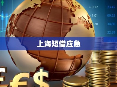 上海短借应急